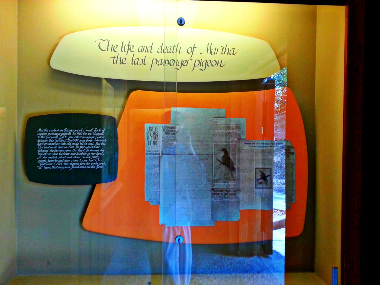 Apr. 2013 - Passenger Pigeon Memorial - The Life and Death of Martha the La