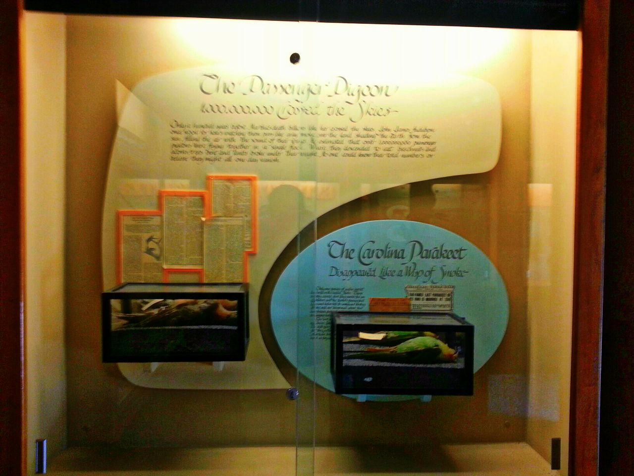 Apr. 2013 - Passenger Pigeon Memorial - The Passenger Pigeon - 1,000,000,00