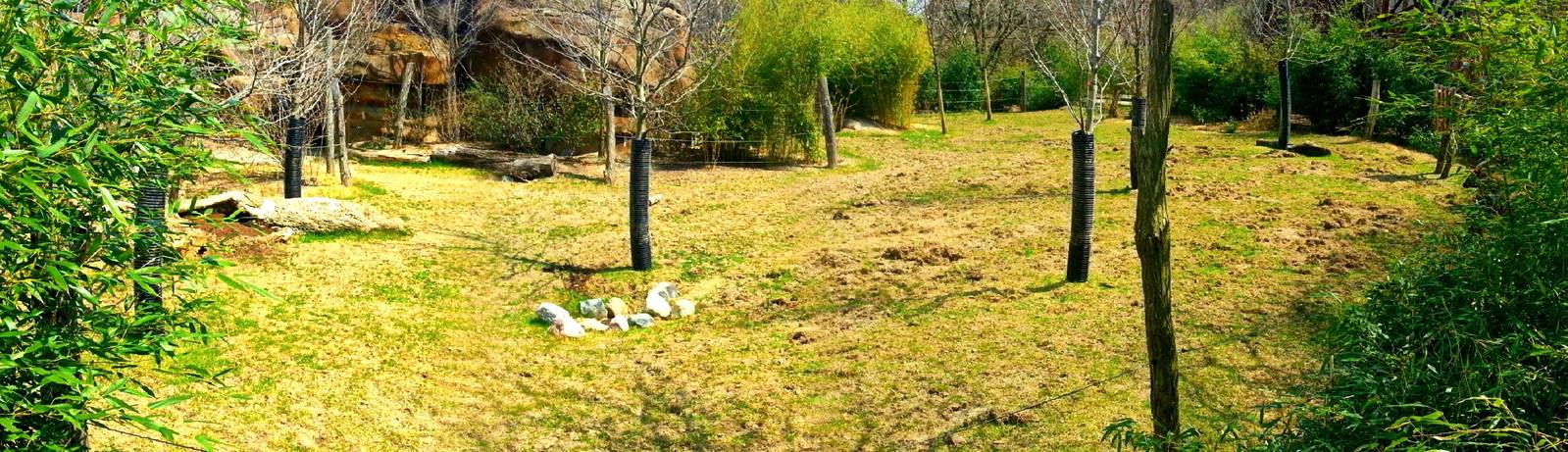 Apr. 2013 - Rhino Reserve - Eastern Bongo + Grey-crowned Crane Exhibit