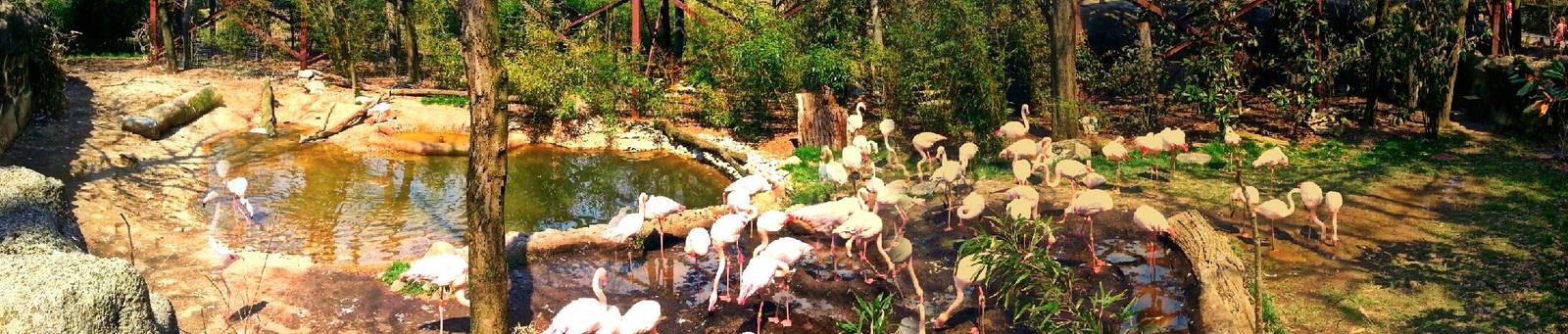 Apr. 2013 - Rhino Reserve - Flamingo Cove