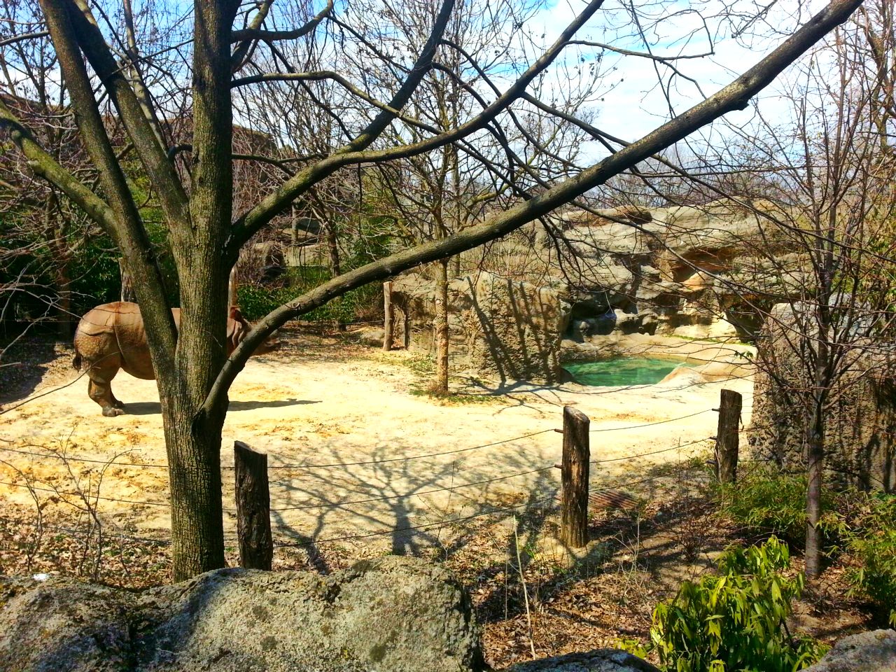 Apr. 2013 - Rhino Reserve - Indian Rhinoceros Exhibit