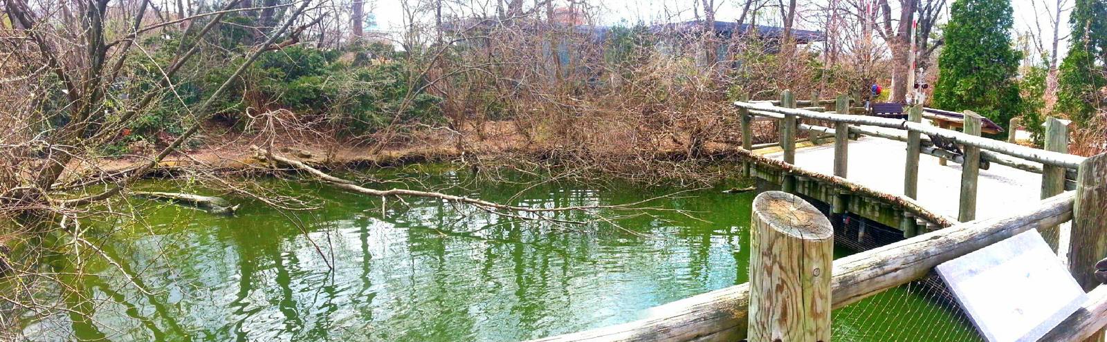 Apr. 2013 - Swan Lake - Wetland Trail