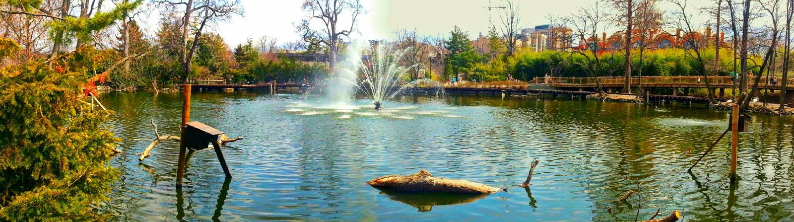 Apr. 2013 - Swan Lake