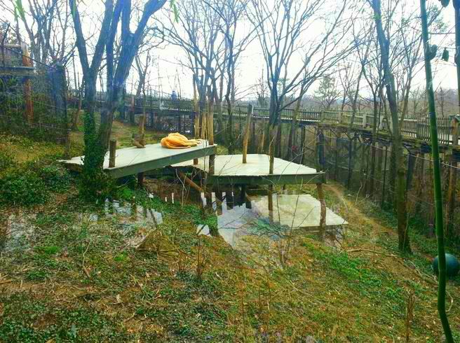 Apr. 2013 - White Lions of Timbavati