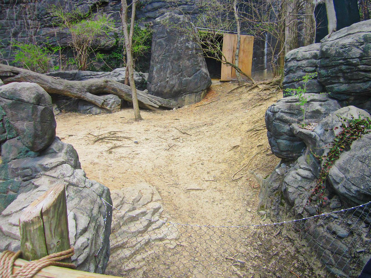 Apr. 2013 - Wildlife Canyon - Emu Exhibit