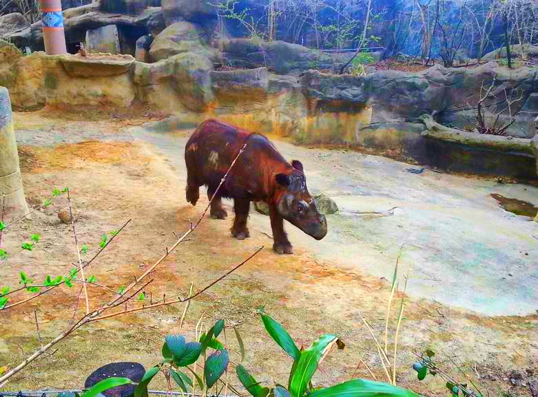 Apr. 2013 - Wildlife Canyon - Suci