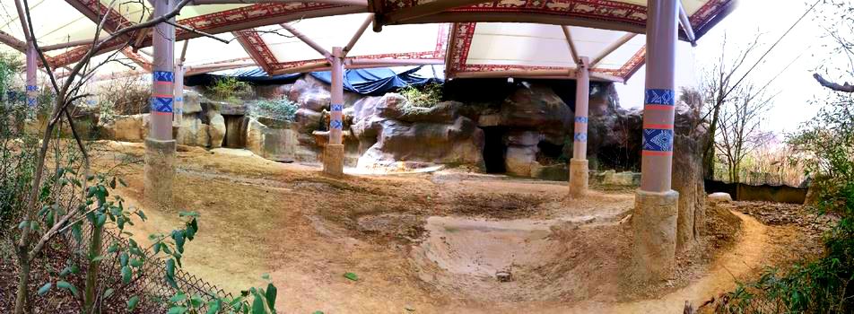 Apr. 2013 - Wildlife Canyon - Sumatran Rhinoceros Exhibit Panorama