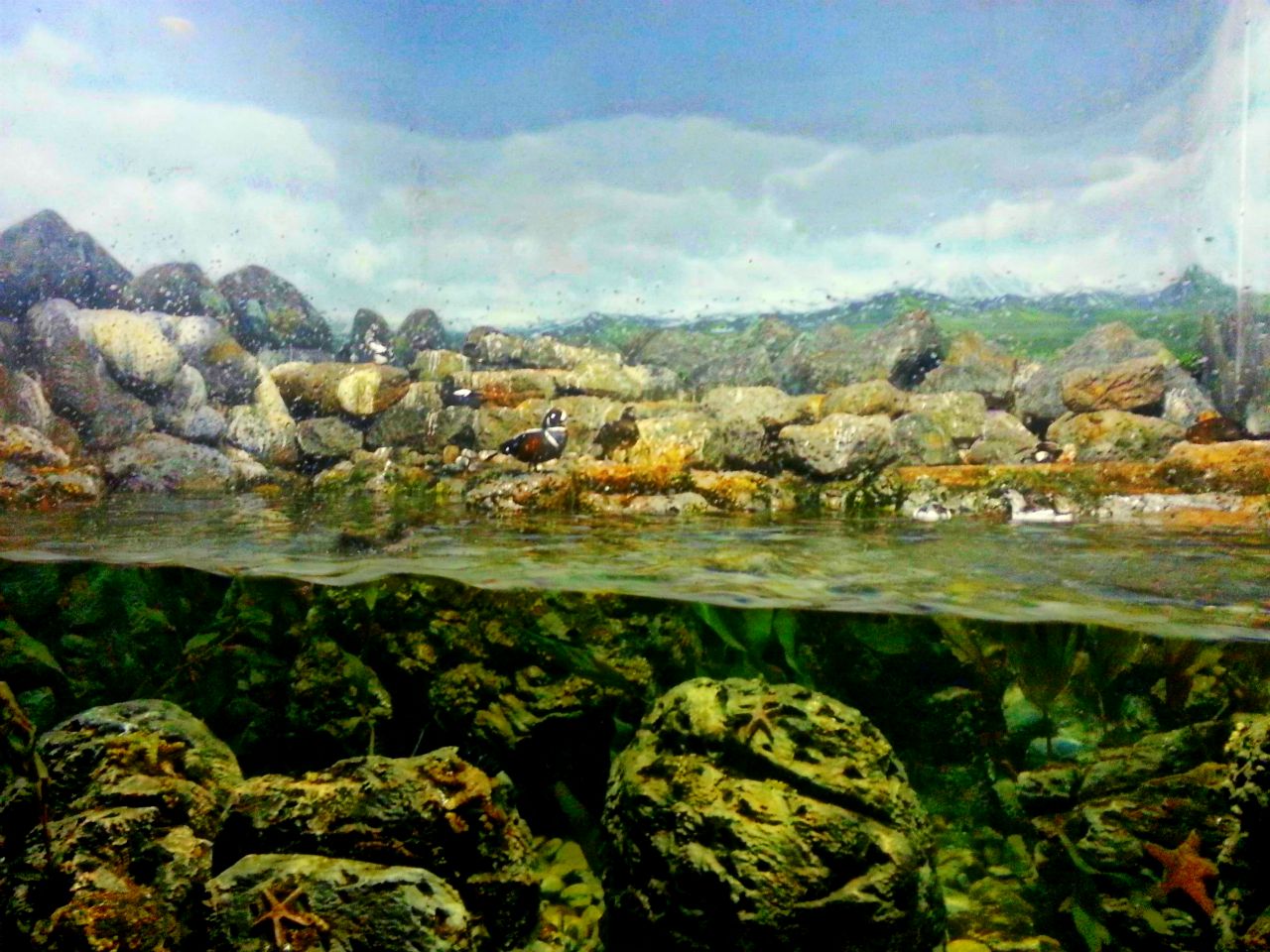 Apr. 2013 - Wings of the World - Arctic Islands