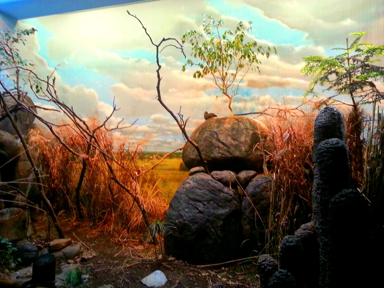 Apr. 2013 - Wings of the World - Grasslands