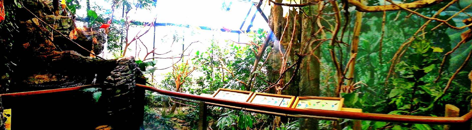 Apr. 2013 - Wings of the World - South America