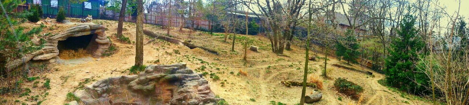 Apr. 2013 - Wolf Woods - Mexican Wolf Exhibit Panorama