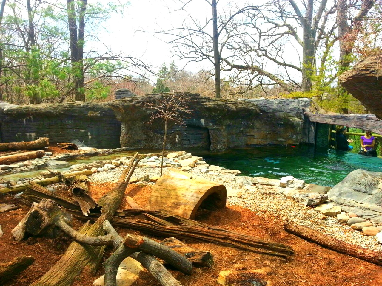 Apr. 2013 - Wolf Woods - North American River Otter Exhibit