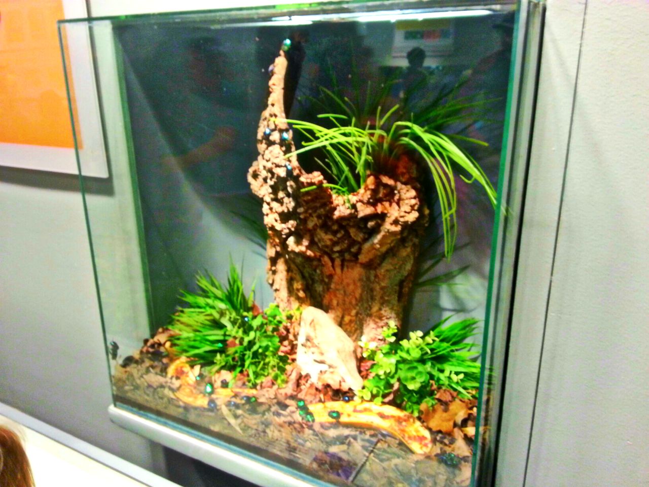 Apr. 2013 - World of the Insect - Tin Foil Beetle Exhibit