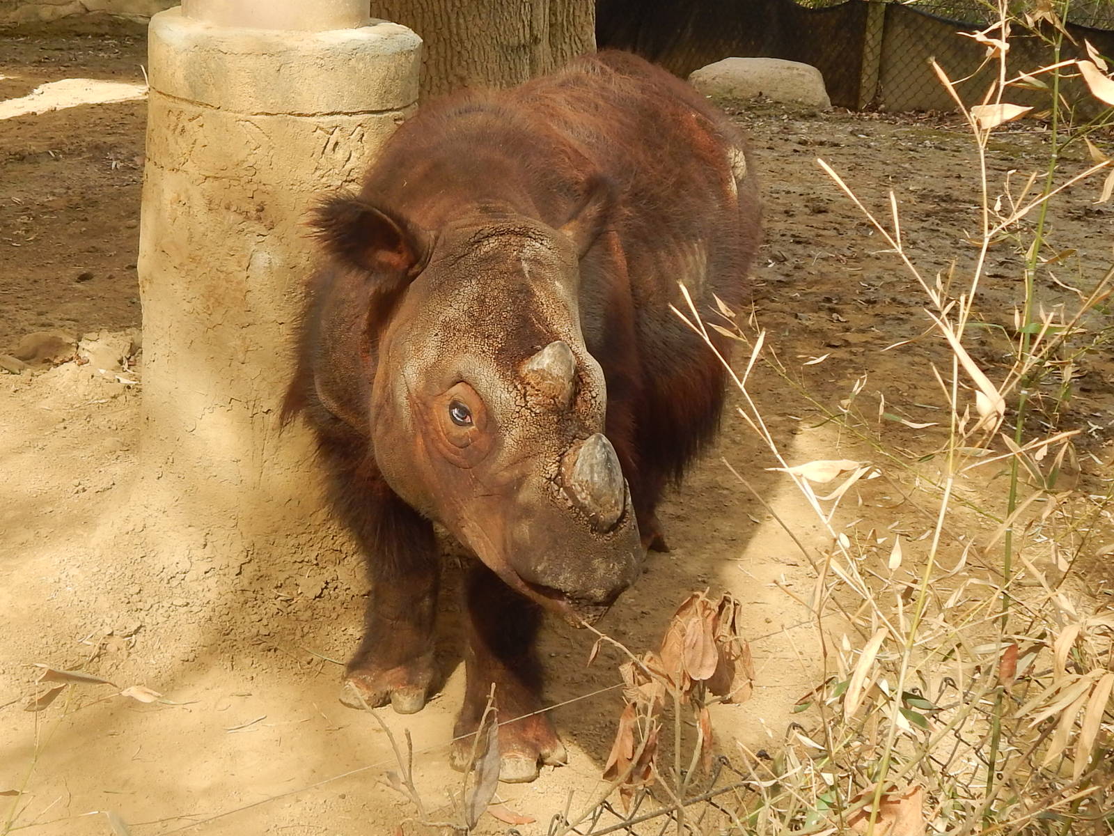 Apr. 2014 - Wildlife Canyon - Harapan