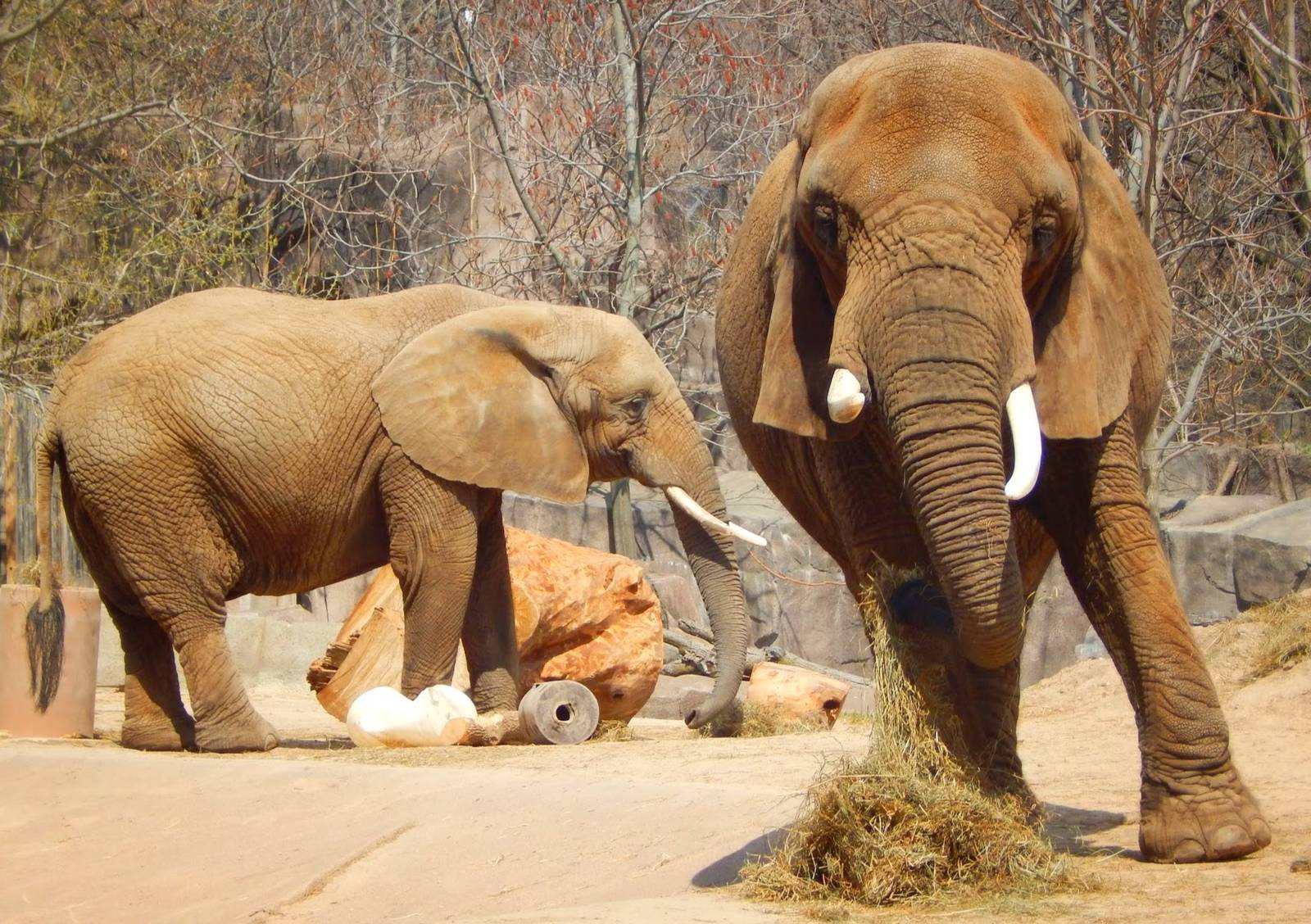 Apr. 2015 - Africa - Asia - South America - Brittany + Ruth