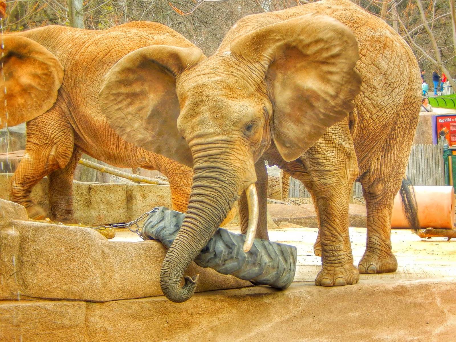 Apr. 2015 - Africa - Asia - South America - Brittany