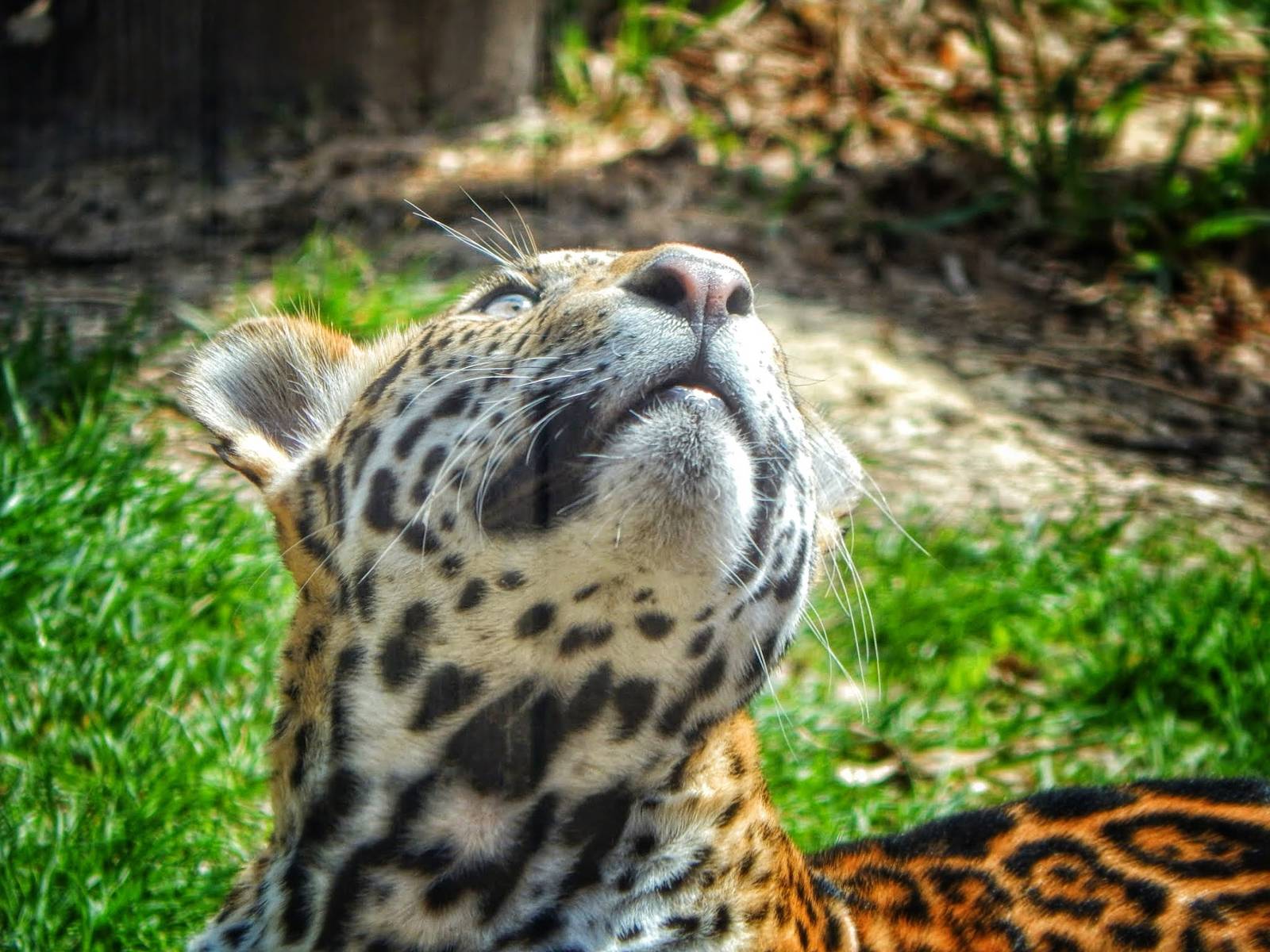 Apr. 2015 - Africa - Asia - South America - Francisco