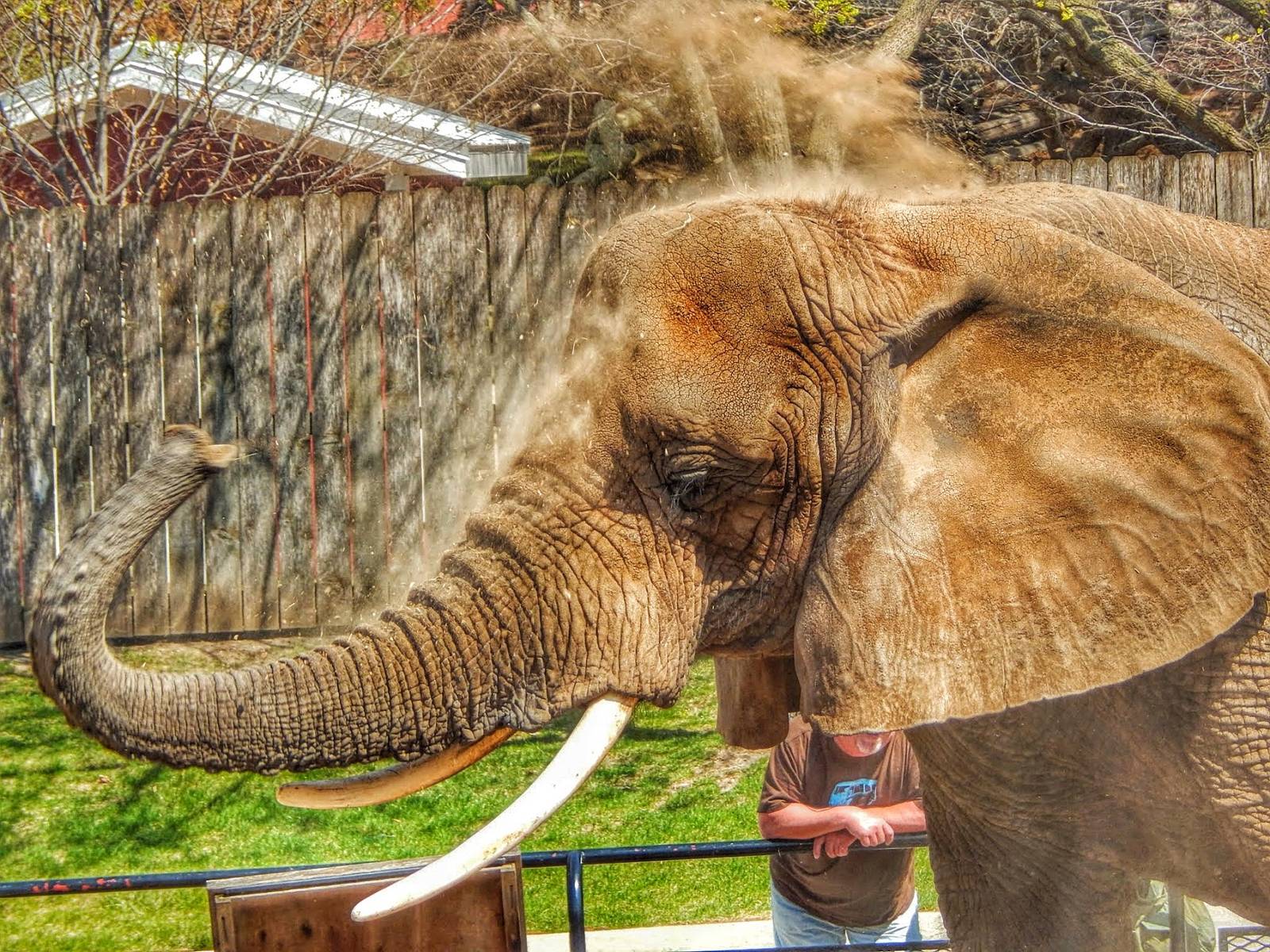 Apr. 2015 - Africa - Asia - South America - Ruth Throwing Sand
