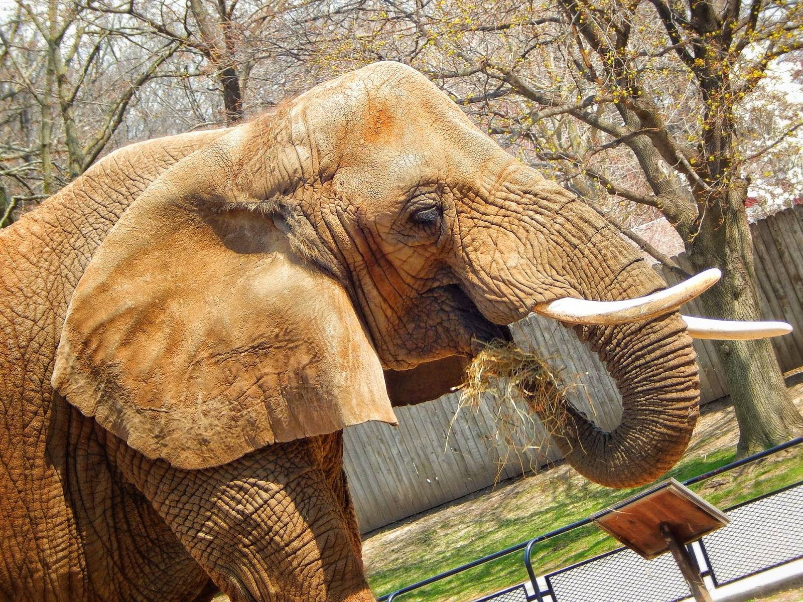 Apr. 2015 - Africa - Asia - South America - Ruth