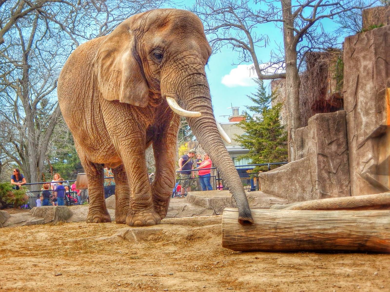 Apr. 2015 - Africa - Asia - South America - Ruth