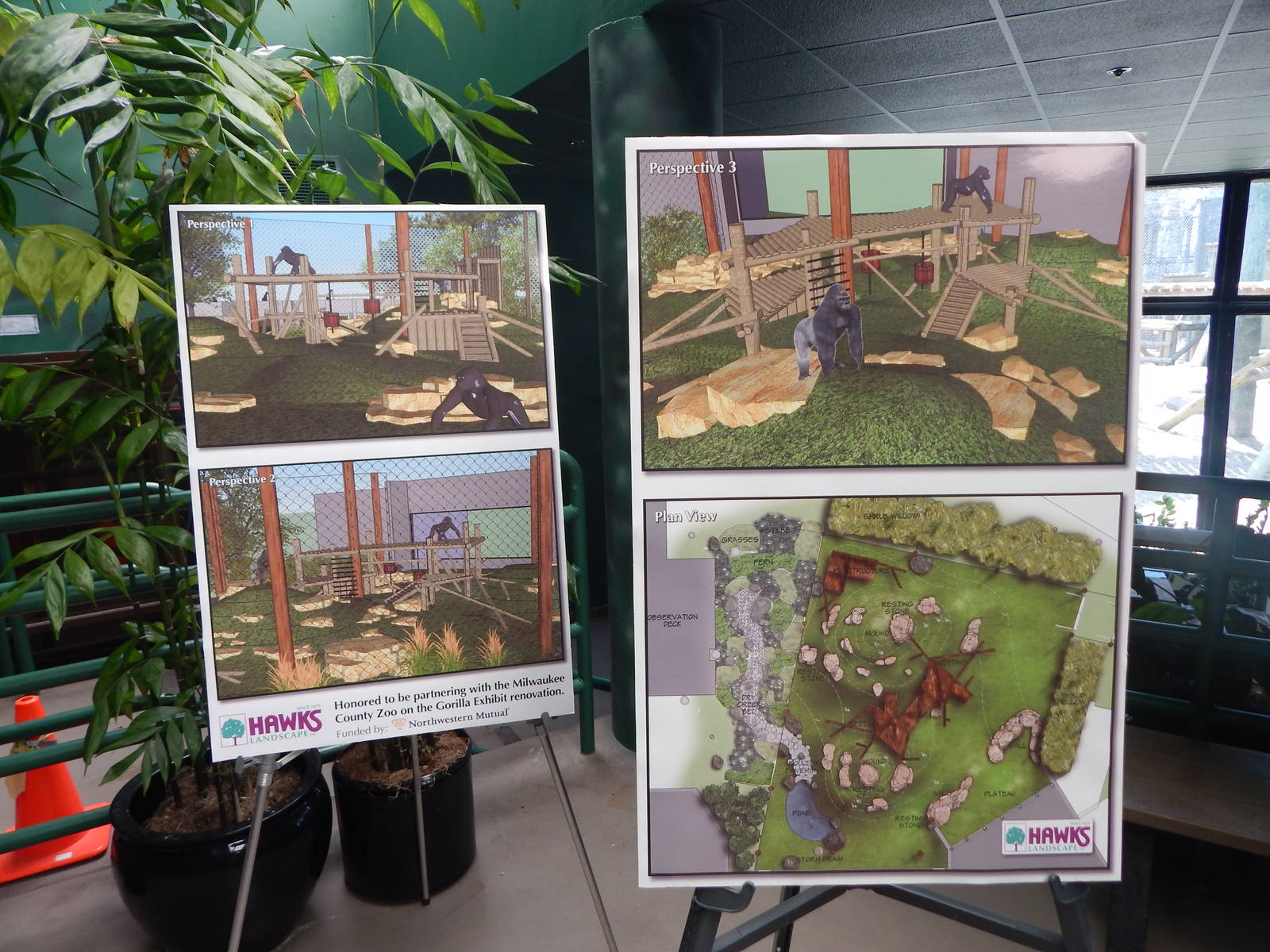 Apr. 2015 - Apes of Africa - Primates of the World - Gorilla Exhibit Renova