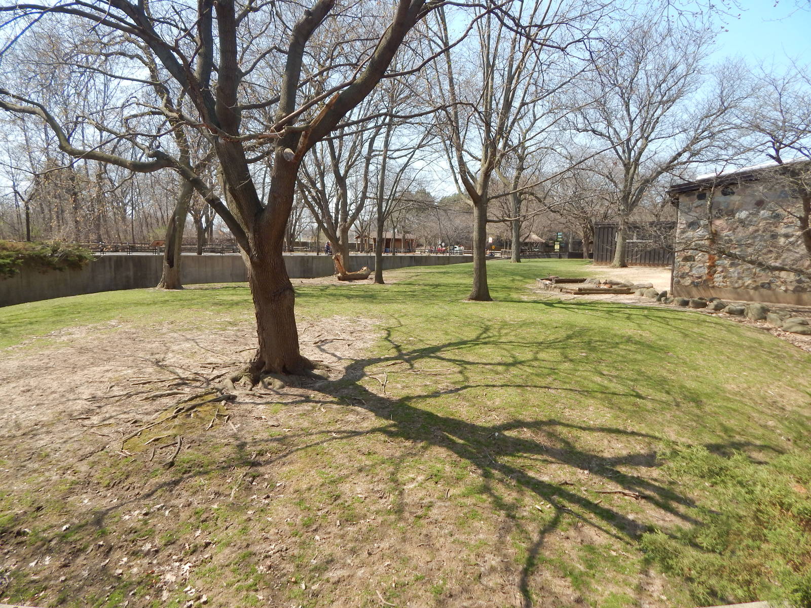 Apr. 2015 - Australia - Emu + Red Kangaroo Exhibit