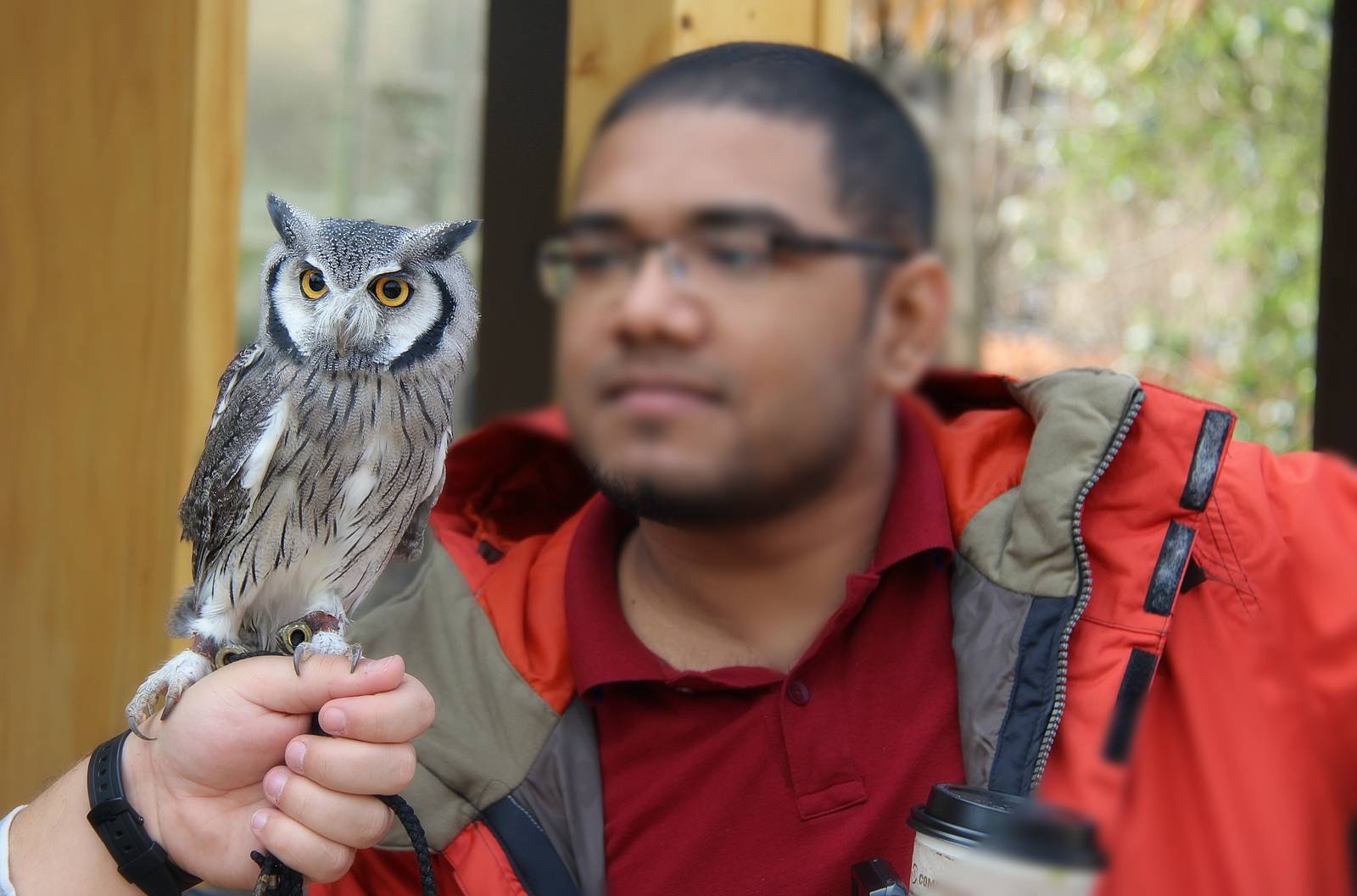 Apr. 2016 - Interaction With Gizmo