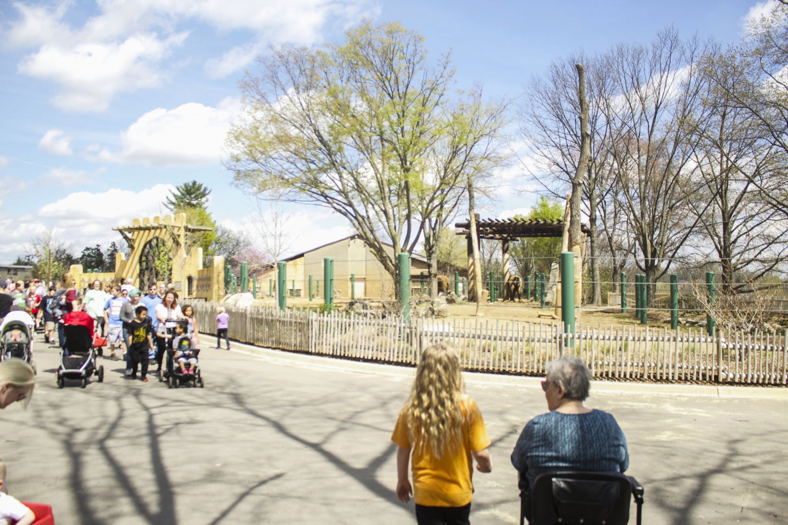 Apr. 2017 - Africa - Indian + African Elephant Exhibit (Newly Renovated)