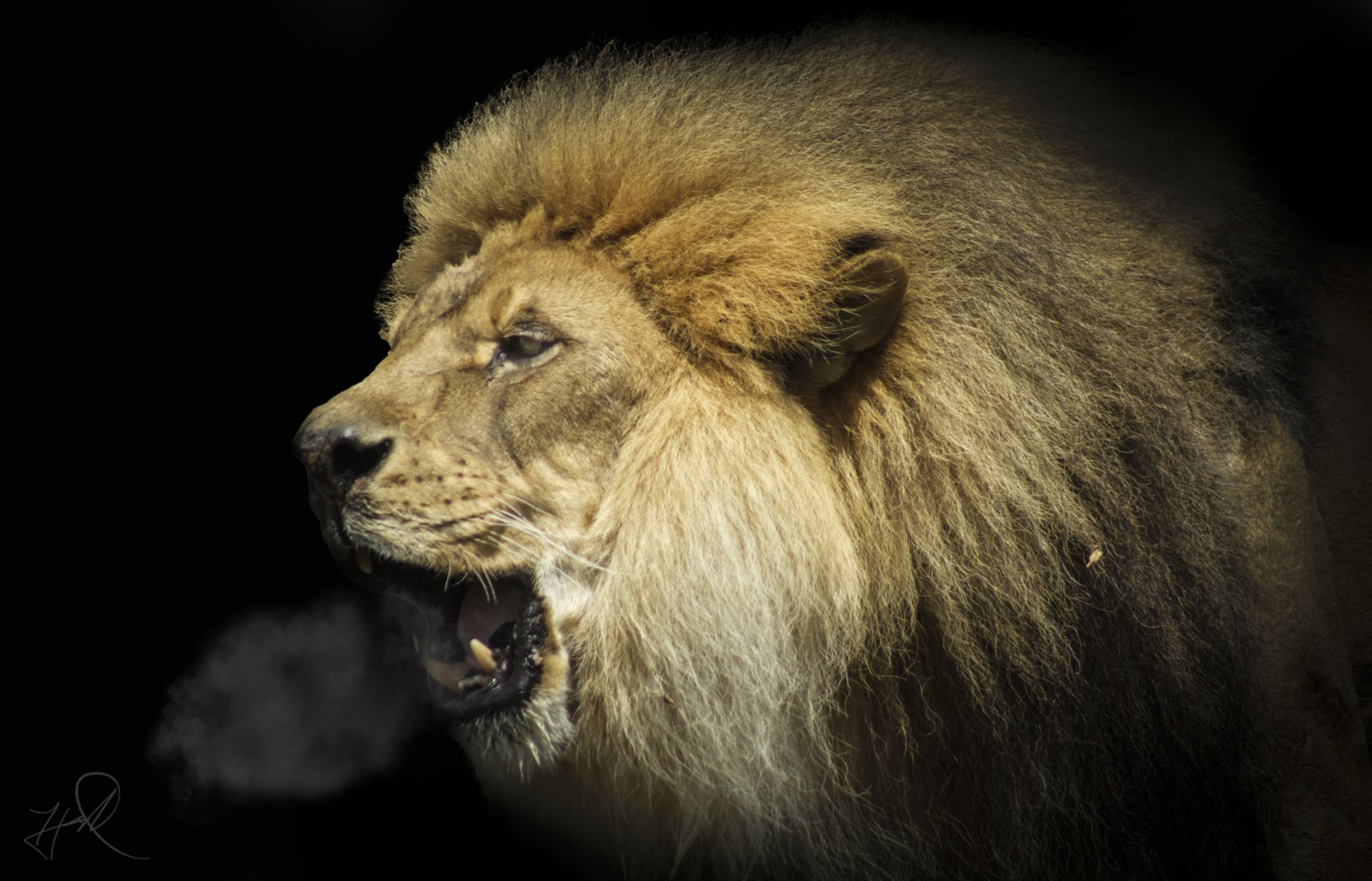 Apr. 2017 - Africa - Kenya