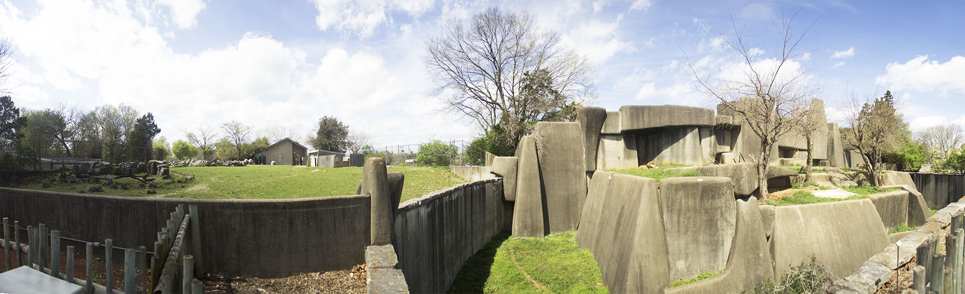 Apr. 2017 - Africa - Savanna + Lion Exhibit