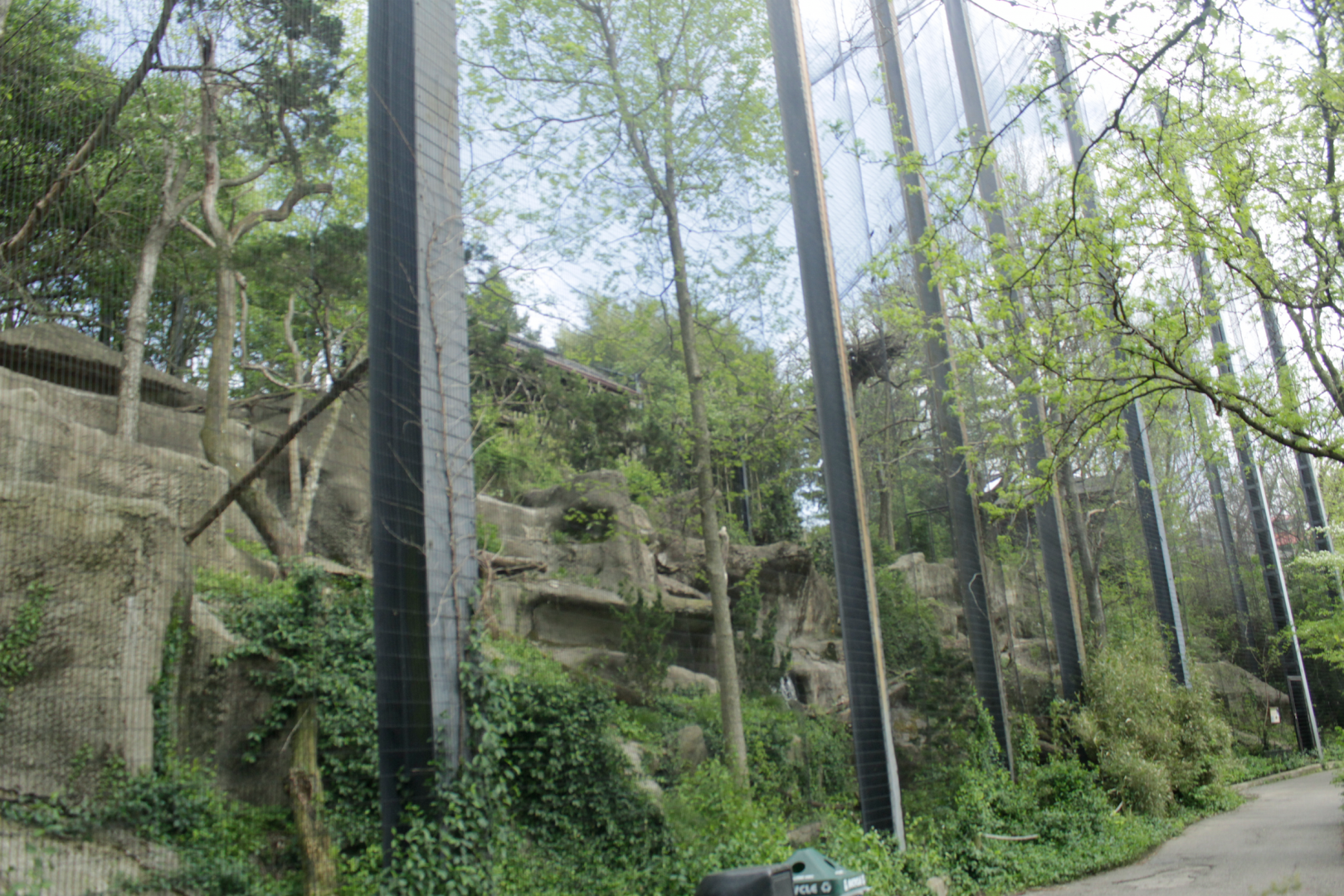 Apr. 2017 - Eagle Eyrie - Steller's Sea Eagle Exhibit