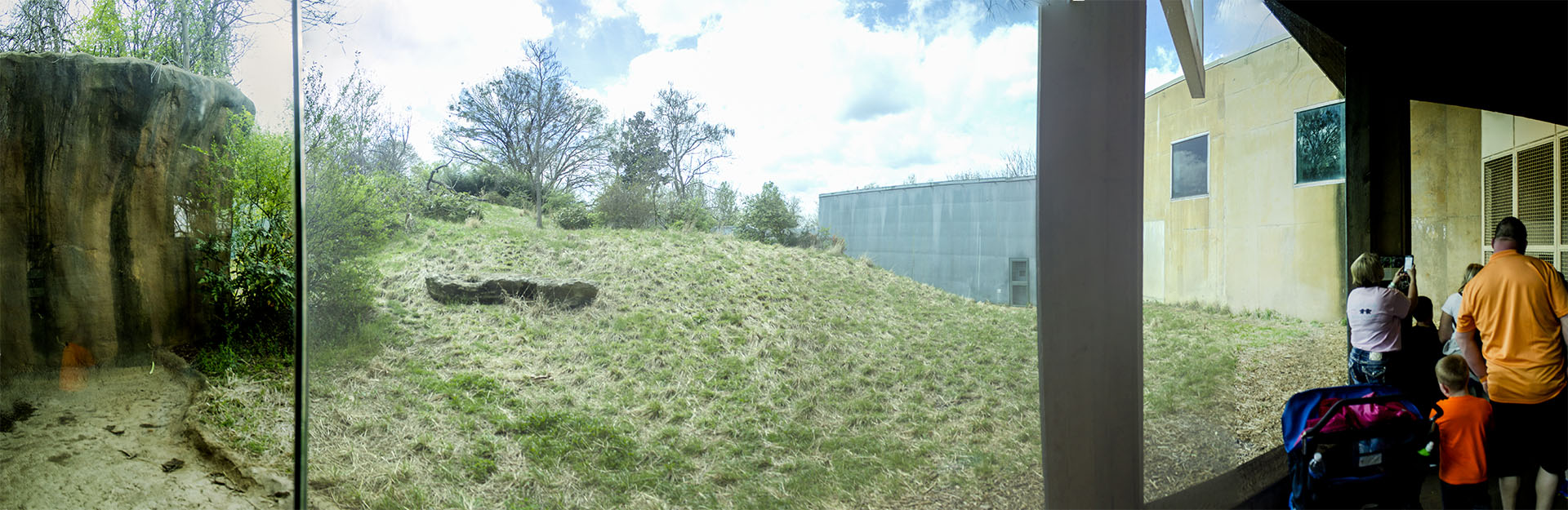Apr. 2017 - Gorilla Forest - First Gorilla Exhibit Panorama
