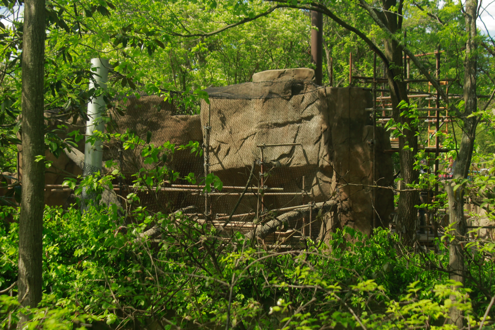 Apr. 2017 - Gorilla World - Colobus Exhibit Renovations