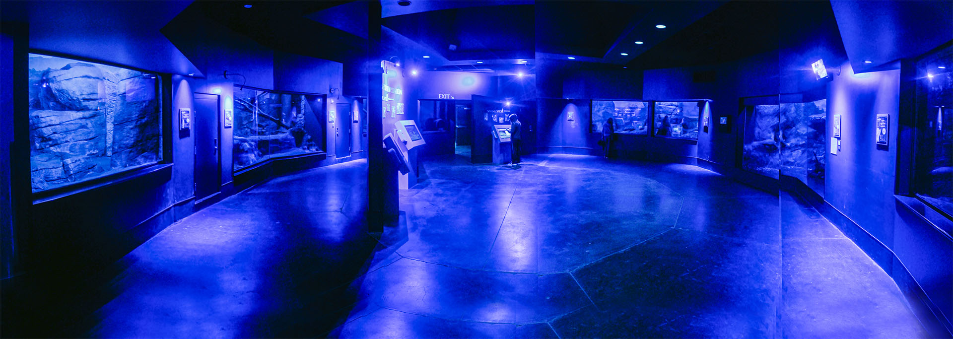 Apr. 2017 - Night Hunters - Rotunda Panorama