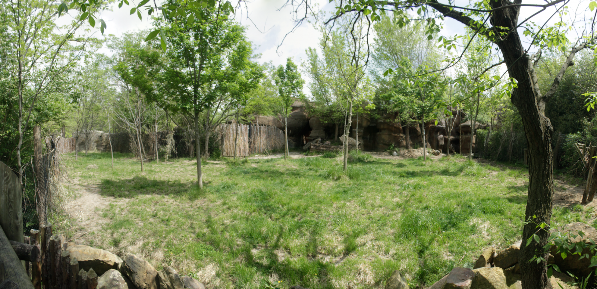 Apr. 2017 - Rhino Reserve - Okapi/Yellow-backed Duiker Exhibit