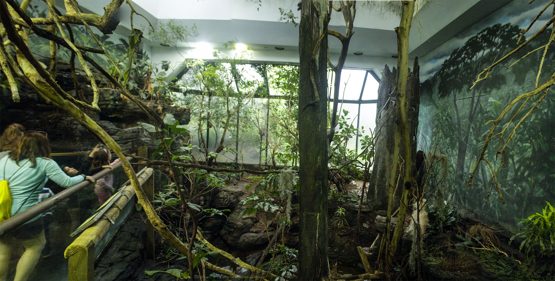 Apr. 2017 - Wings Of The World - South America Panorama