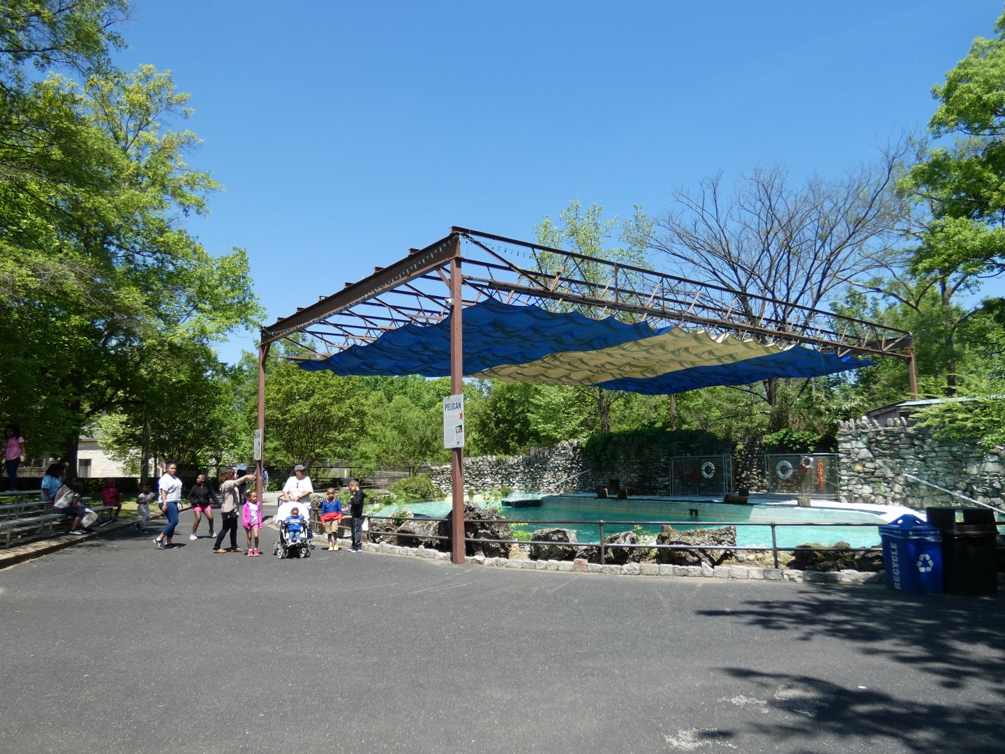 Apr. 2019 - 1930's American White Pelican Pool (Former Sea Lion Exhibit)