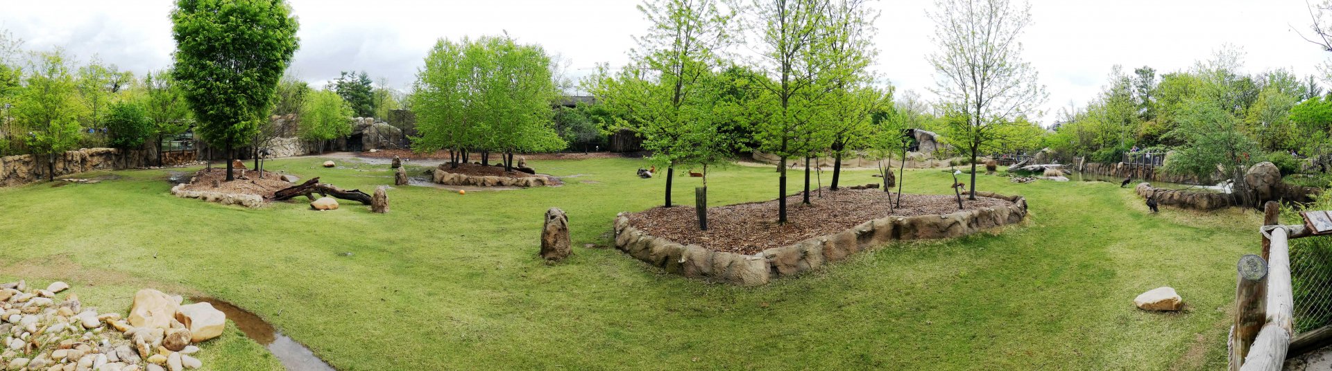 Apr. 2019 - Africa - African Plains (11 Species)