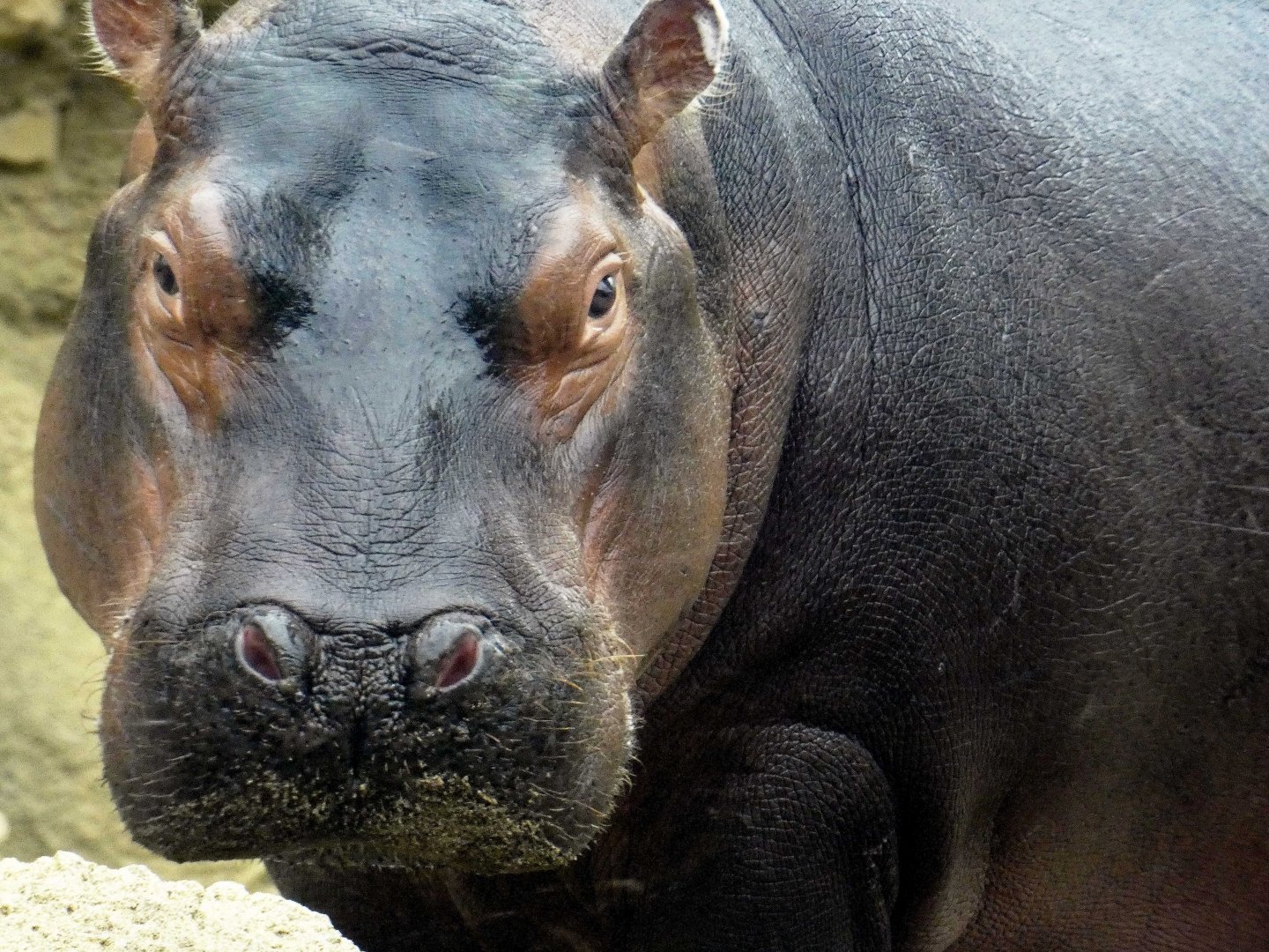 Apr. 2019 - Africa - Fiona