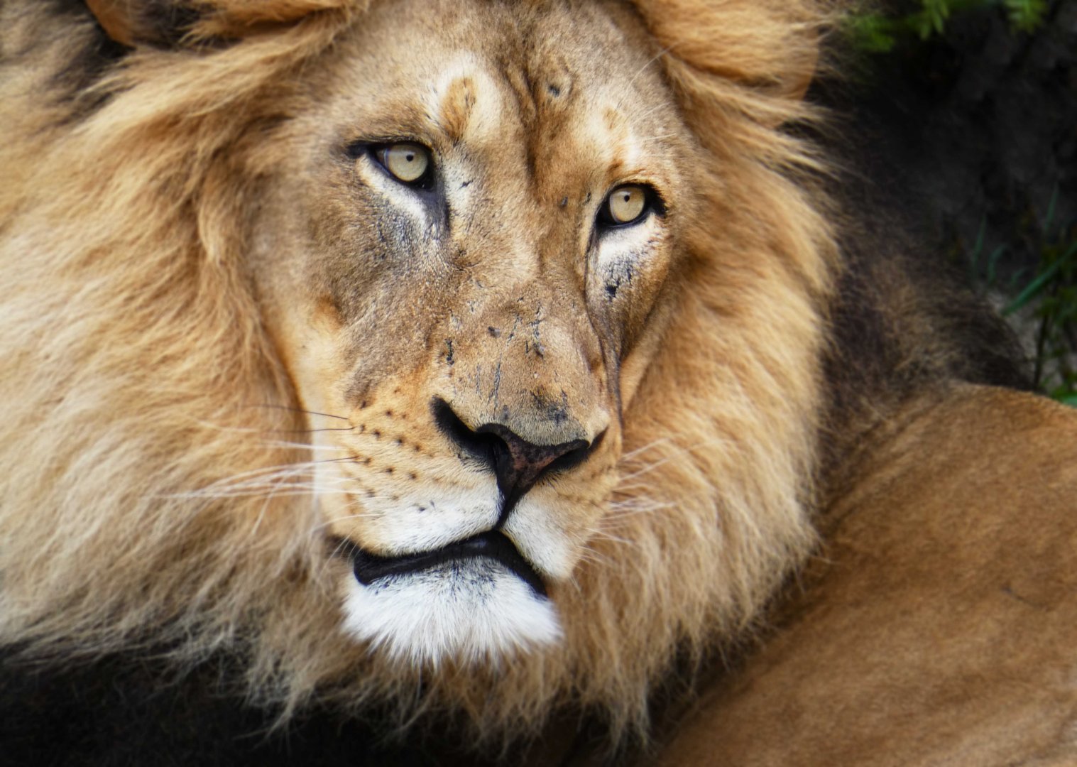 Apr. 2019 - Africa - John