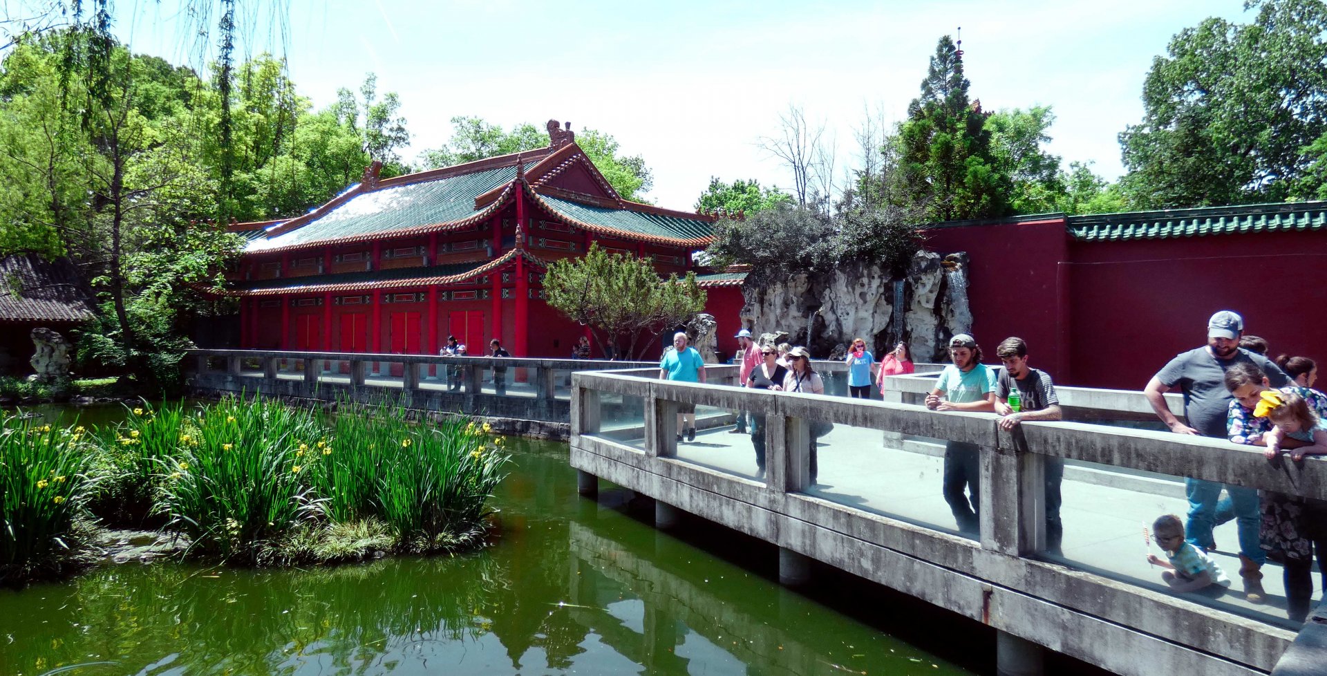 Apr. 2019 - China - Waterfowl Pond