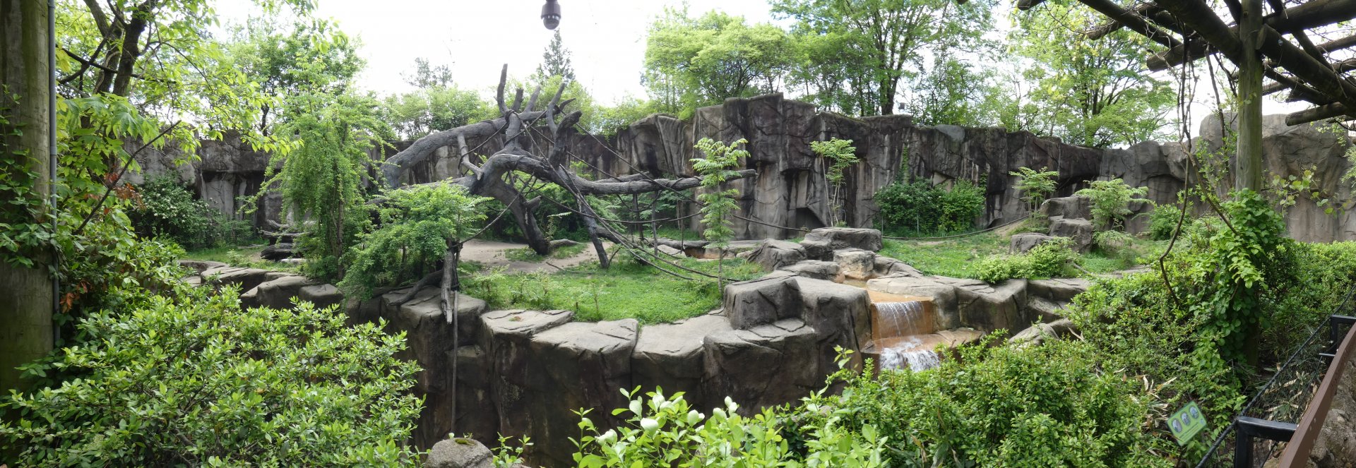 Apr. 2019 - Gorilla World - Gorilla Exhibit Panorama
