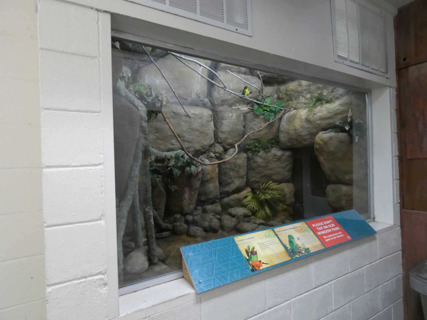 Apr. 2019 - Tropical Bird House - Goldie's Lorikeet + Blue-crowned Hanging Parrot Exhibit