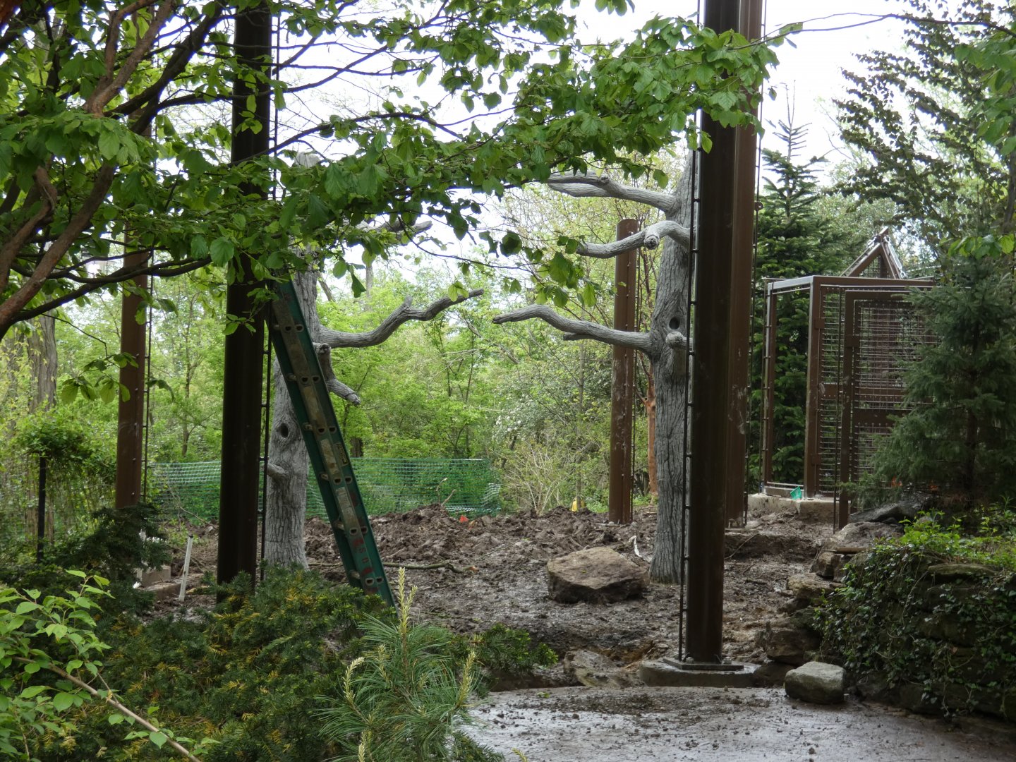 Apr. 2019 - Upcoming Exhibit In Between Cat Canyon & Rhino Reserve