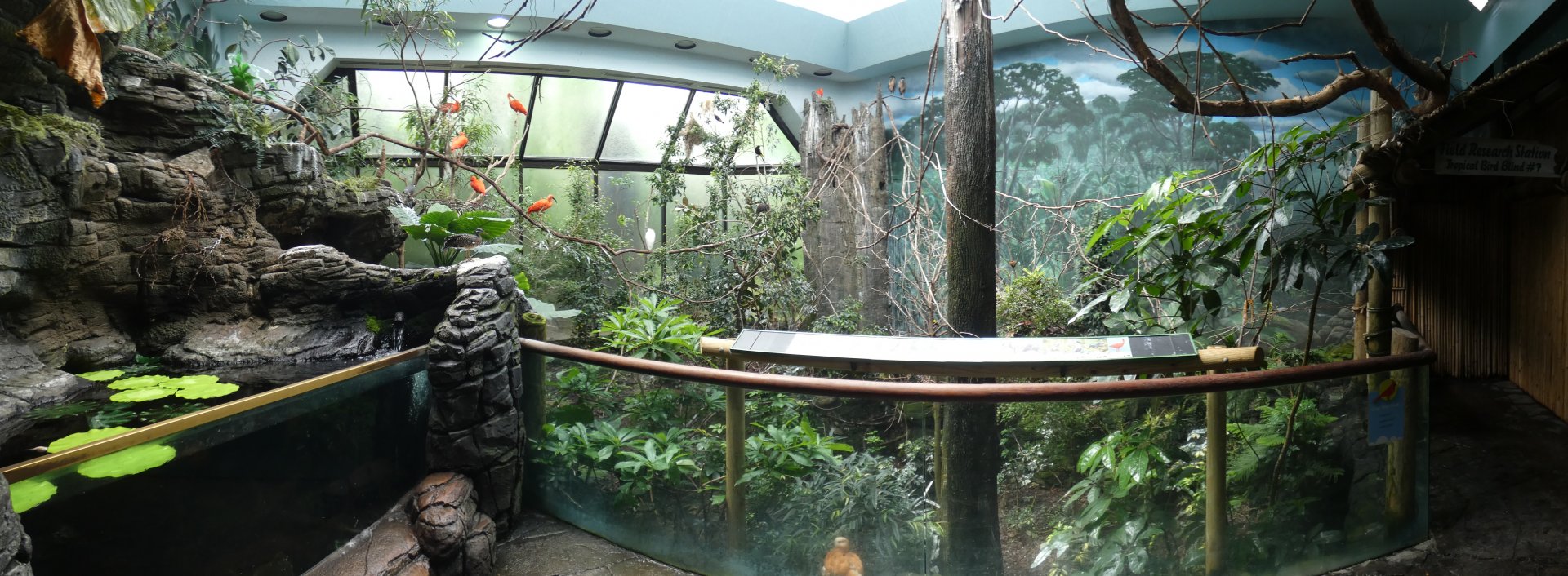 Apr. 2019 - Wings of the World - South America Panorama