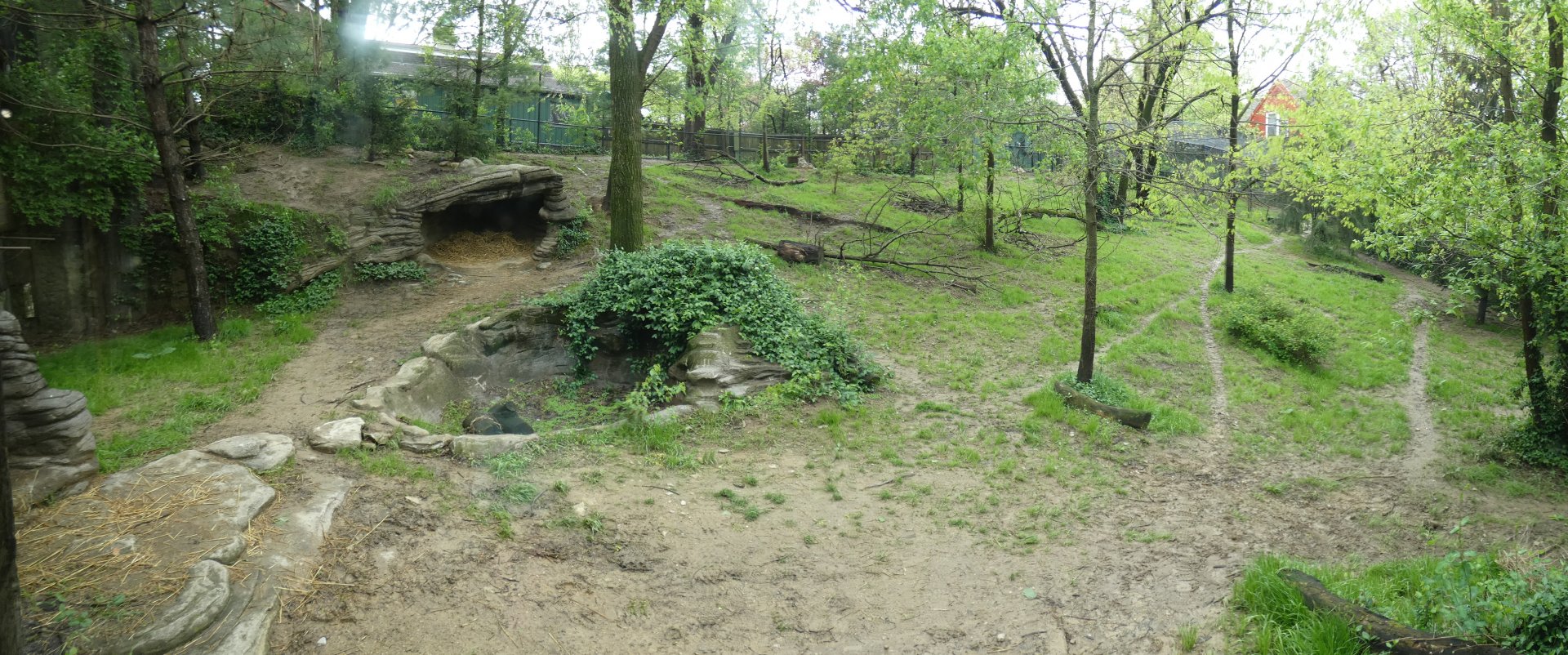 Apr 2019 - Wolf Woods - 13,000 Sq Ft Mexican Wolf Exhibit Panorama