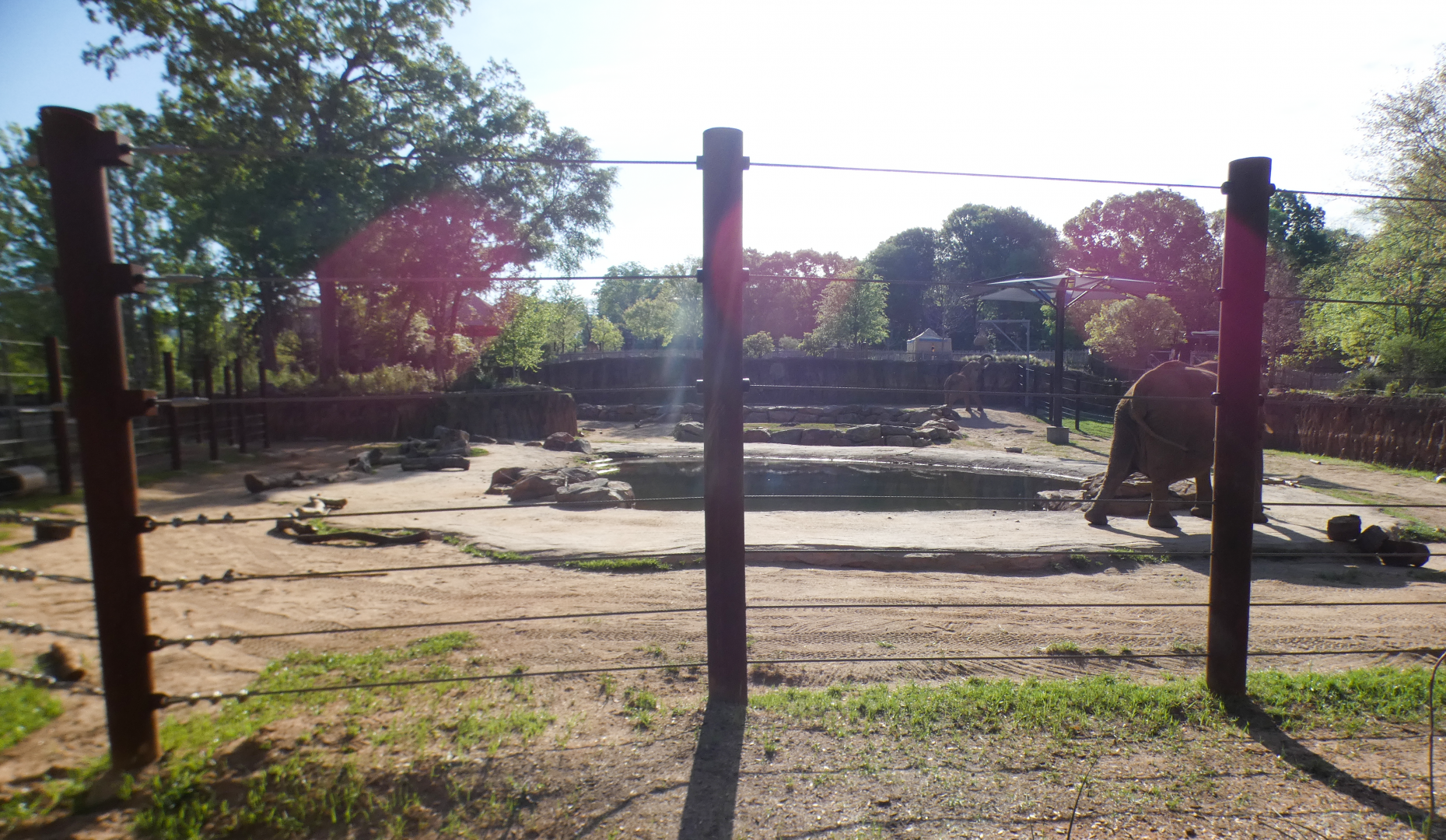 Apr. 2021 - African Savanna - African Elephant Exhibit (1.2 Acres)