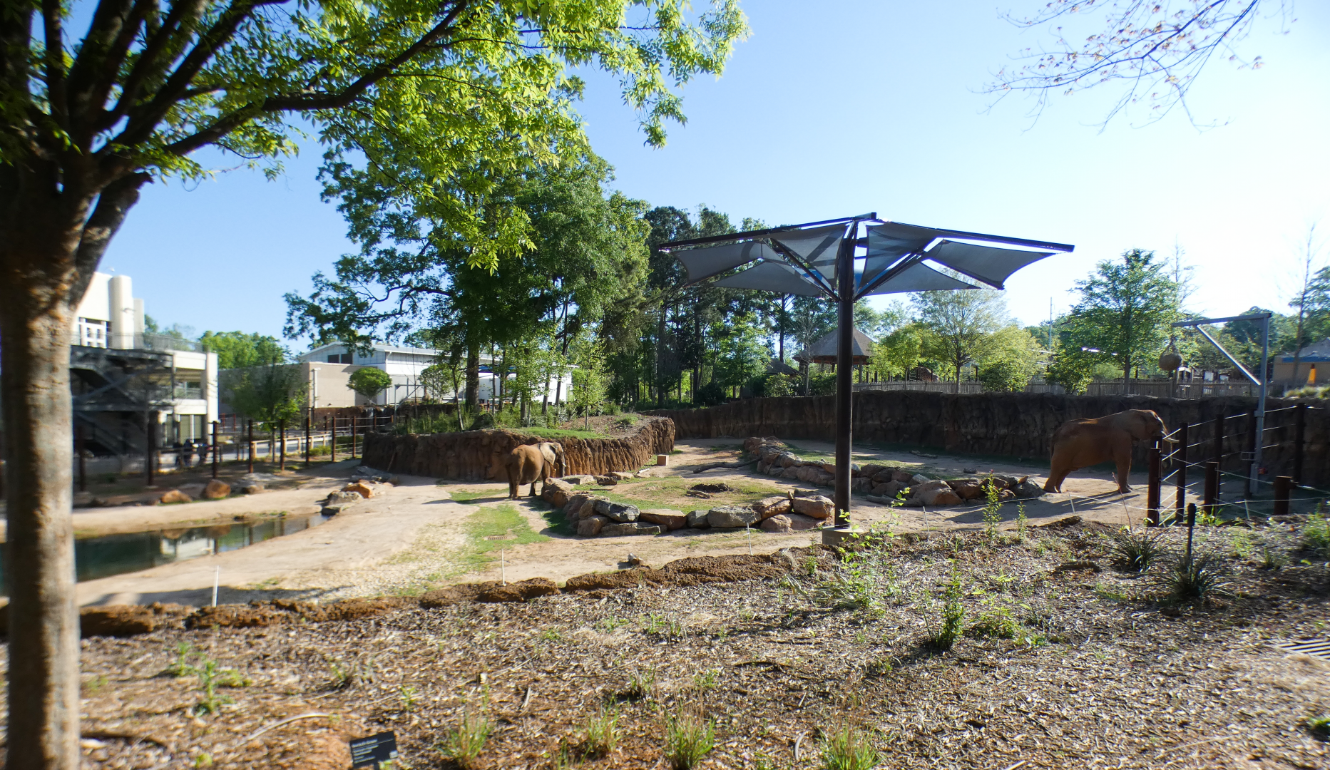 Apr. 2021 - African Savanna - African Elephant Exhibit (1.2 Acres)