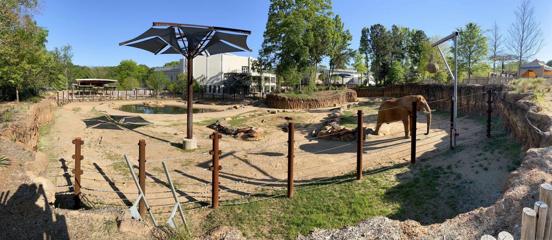 Apr. 2021 - African Savanna - African Elephant Exhibit  Panorama (1.2 Acres)