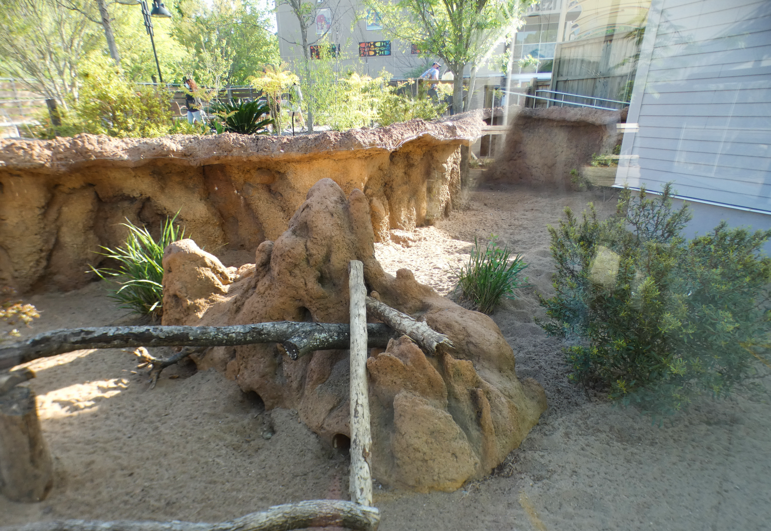 Apr. 2021 - African Savanna - Left Meerkat Exhibit